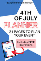 4th of July Party Planner