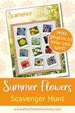 4 Seasons Scavenger Hunt Bundle for Nature Study + 3 Bonus Scavenger Hunts!