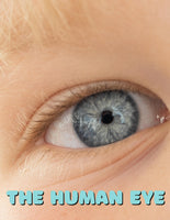 Human Eye Unit Study