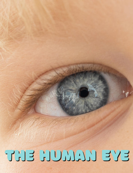 Human Eye Unit Study
