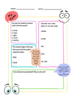 Human Eye Unit Study