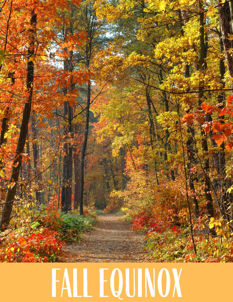 Autumn Equinox Unit Study