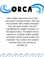 Killer Whales Unit Study