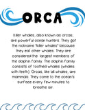 Killer Whales Unit Study