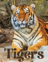 Tigers Unit Study