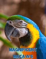 Macaws Unit Study